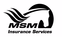 MSM Insurance Services